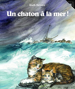 Un chaton à la mer !