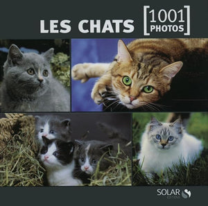 Les chats