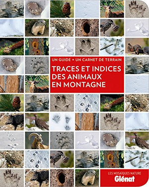 Traces et indices des animaux en montagne