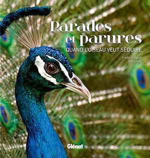 Parades et parures : quand l'oiseau veut séduire