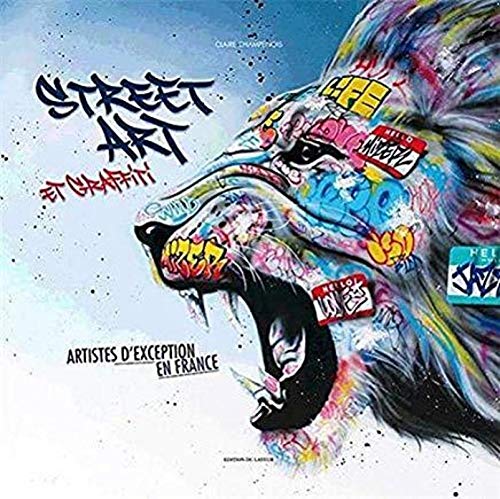 Street art et graffiti - Artistes d'exception en France
