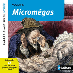 Micromégas