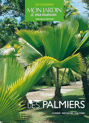 Les palmiers