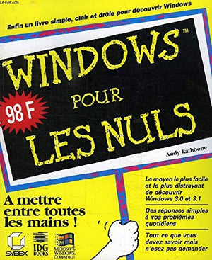 Windows 3.1 pour les nuls