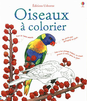 Oiseaux à colorier