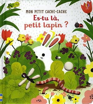 Es-tu là, petit lapin ? - Mon petit cache-cache