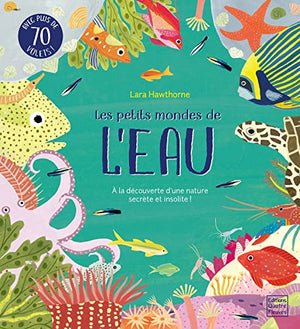 Les petits mondes de l'eau