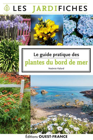 Le guide pratique des plantes du bord de mer