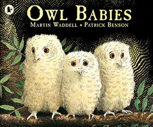 Owl babies