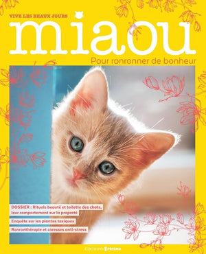 Miaou