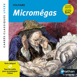 Micromégas