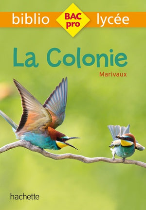 La Colonie