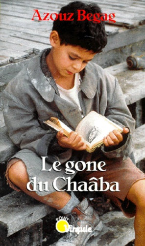 Le Gone du chaâba