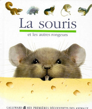 La souris et autres rongeurs