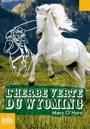 L'herbe verte du Wyoming