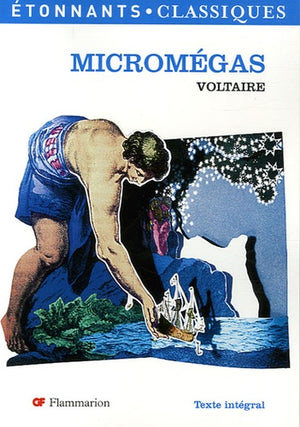 Micromégas