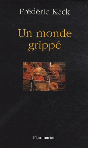 Un monde grippé: Enquête sur une peur collective