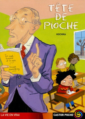 Tête de pioche