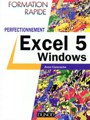 Excel 5 Windows : Perfectionnement