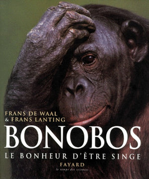 Bonobos, le bonheur d'être singe