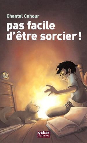 Pas facile d'être sorcier !