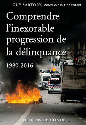 Comprendre l'inexorable progression de la délinquance, 1980-2016