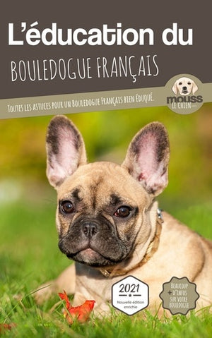 L'éducation du bouledogue français