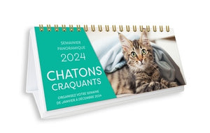 Semainier panoramique - Chatons craquants 2024, une page par jour