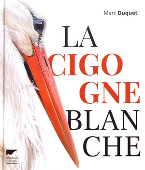 La Cigogne blanche