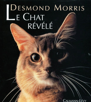 Le Chat révélé