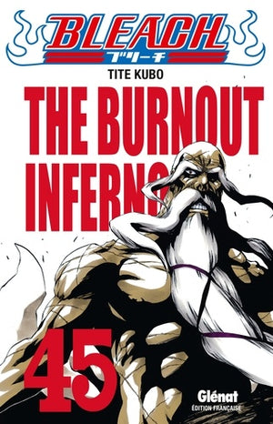 Bleach - Tome 45: The Burnout Inferno