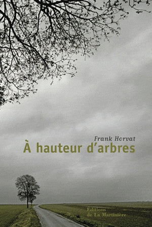 A hauteur d'arbres