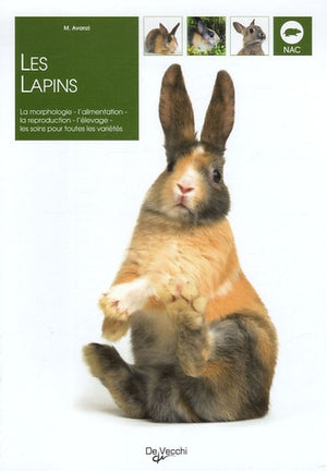 Les lapins