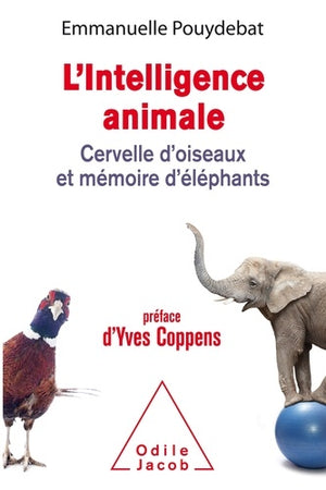 L'intelligence animale