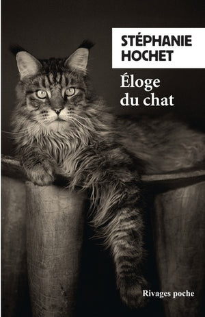 Eloge du chat