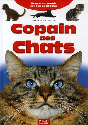 Copain des chats