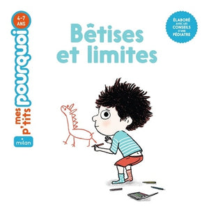 Bêtises et limites