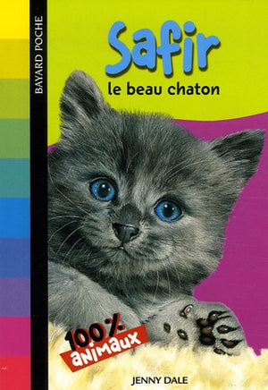 Safir: le beau chaton