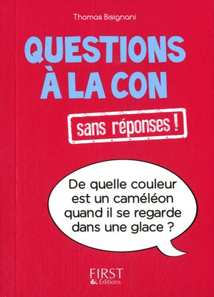 Questions à la con sans réponses !