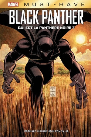 Black Panther: Qui est la Panthère Noire ?