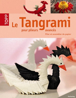 Le Tangrami pour plieurs avancés