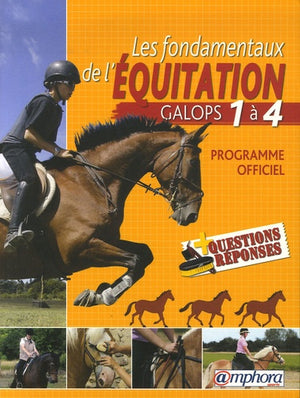 Les fondamentaux de l'équitation