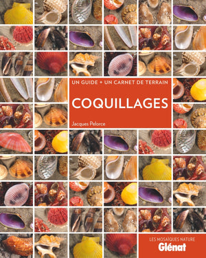 Coquillages