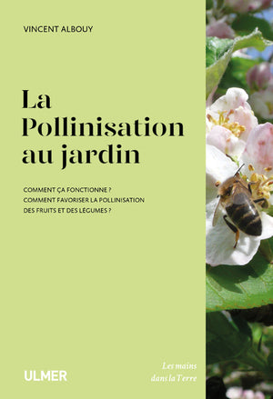 La pollinisation au jardin