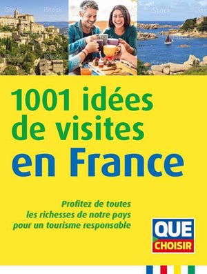 1001 idées de visites en France