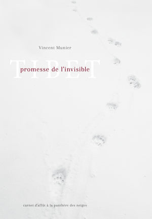 Tibet, promesse de l'invisible