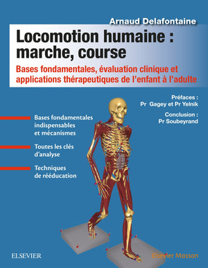 Locomotion humaine : marche, course