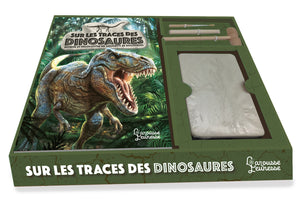 Sur les traces des dinosaures