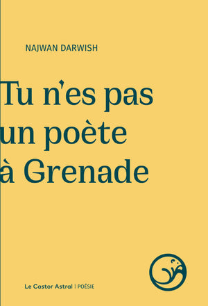 Tu n'es pas un poète à Grenade