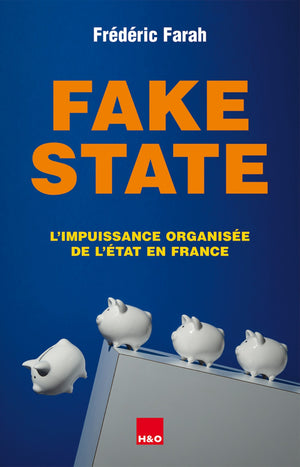 Fake state